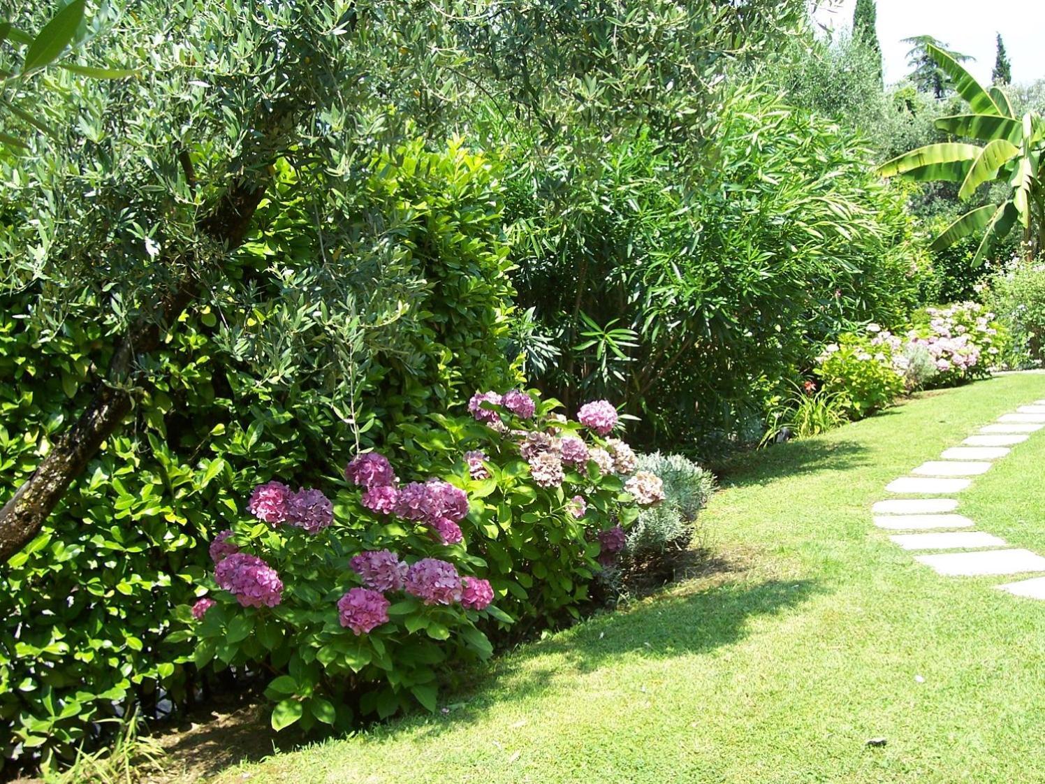 Villa Giada Torri Del Benaco Dış mekan fotoğraf