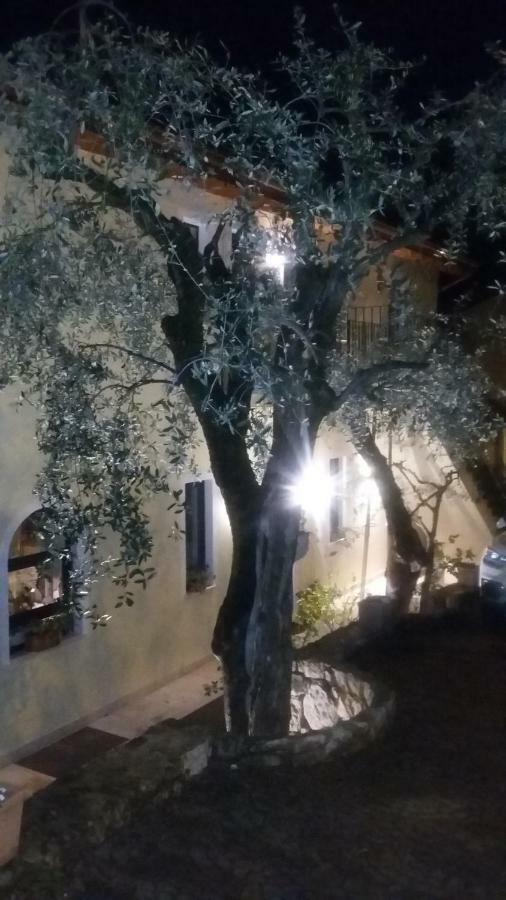 Villa Giada Torri Del Benaco Dış mekan fotoğraf